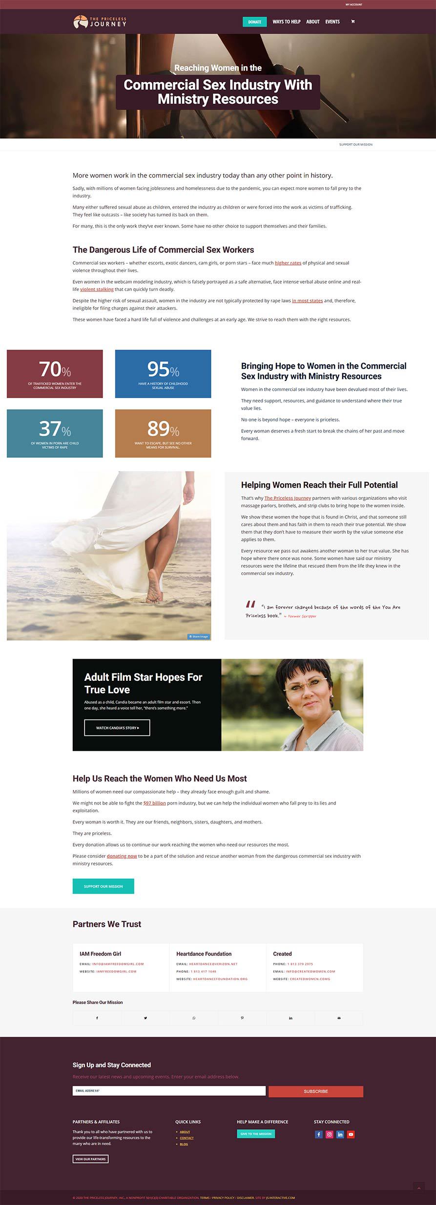 the priceless journey web design